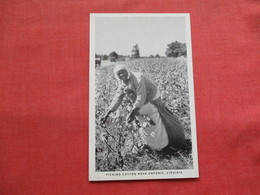 Picking Cotton Near Emporia Virginia    Black Americana      Ref 3173 - Black Americana