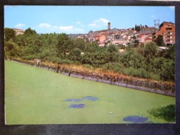 Delcampe - TOSCANA -VITERBO -FABRICA DI ROMA -F.G. LOTTO N°11 - Viterbo