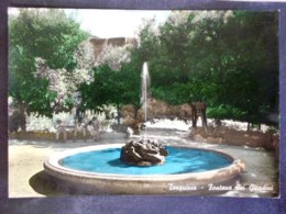 Delcampe - TOSCANA -VITERBO -TARQUINIA -F.G. LOTTO N°11 - Viterbo