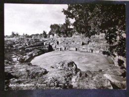 Delcampe - TOSCANA -VITERBO -SUTRI -F.G. LOTTO N°11 - Viterbo