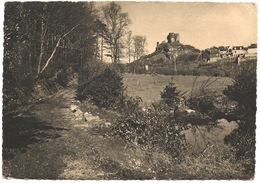 LA ROCHE-MAURICE - Le Bois Du Pontois Et Le Château - La Roche-Maurice