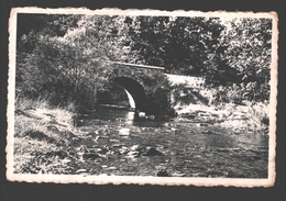 Delcampe - Herbeumont S/Semois - Promenade De L'Antrogne - Vieux Pont Sur Le Ruisseau - Herbeumont