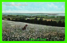 POWNALL BAY, PRINCE EDWARD ISLAND - WRITTEN - THE VALENTINE & SONS - - Altri & Non Classificati