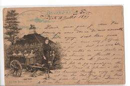 BRUXELLES : LAITIERE  BRUXELLOISE : VOITURE A CHIEN / 1897 / TIMBRE ANCIEN DE 10c - Artigianato