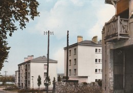 GRIGNY  - Le Potager De L'Arbalette - Grigny