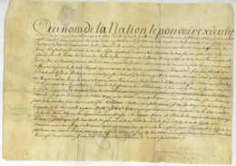 LUNEVILLE 11 Janvier 1794 Parchemin Nicolas Gerard Jardinier Jourdain Saglio - Manuskripte