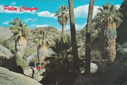Palm Canyon - Palm Springs