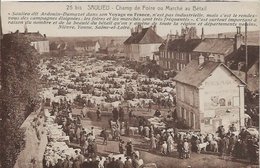 Delcampe - CPA 25 Bis - Marché Aux Bétail Champ De Foire SAULIEU 21 - Saulieu