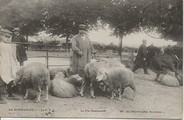 CPA 29 - Le Marché Aux Moutons LA NORMANDIE - Andere & Zonder Classificatie