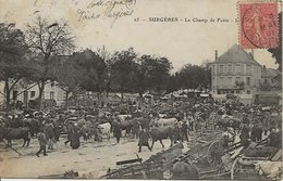 CPA 25 - Le Champ De Foire Marché Aux Bestiaux SURGERES 17 - Surgères