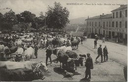 CPA Métier Maquignons Marché Aux Bestiaux Place De La Salle MONTREJEAU 31 - Montréjeau