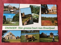 Nederland. Pays-Bas. Holland. Ommen - Het Groene Hart Van Overijssel ( Schaap ) - Ommen