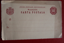 ENTIER  CARTE   POSTALE  DE  10  BANI  ROUGE - Lettres & Documents