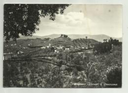 CARMIGNANO - PANORAMA  - VIAGGIATA FG - Firenze (Florence)