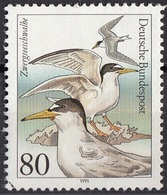 Germania 1991 Sc. 1650 Uccelli Marini Birds Fraticello  Sternula Albifrons Rondine Di Mare Viaggiato Used Germany - Golondrinas