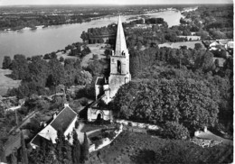 49 - GENNES : Le Clocher De Saint Eusèbe Dominant La Loire  - Jolie CPSM Dentelée Noir Blanc GF - Maine Et Loire - Autres & Non Classés