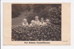 CPA FAMILLE GRAND DUCALE Nos Enfants Grand Ducaux - Grossherzogliche Familie