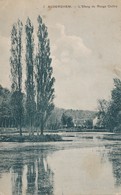 CPA - Belgique - Bruxelles - Auderghem - L'Etang Du Rouge Cloître - Oudergem - Auderghem