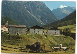 BERGÜN Landwirtschaft Beim Heuen - Bergün/Bravuogn