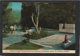 Irlande.Wicklow.Mémorial  Animation Vale Of Avoca , Co, Wicklow. CPM  1979 - Wicklow