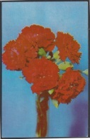 1974-EP-31 CUBA 1974. Ed.113c. MOTHER DAY SPECIAL DELIVERY. POSTAL STATIONERY. FLORES. FLOWERS. USED. - Briefe U. Dokumente