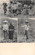 ¤¤   -   CHINE  -  Chinese Labouring Woman  -  Chinese Farmers  -  Agriculture   -   ¤¤ - Chine