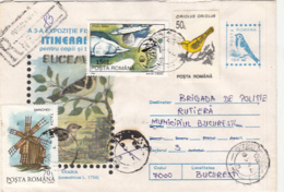 76795- HOUSE SPARROW, BIRDS, REGISTERED COVER STATIONERY, WINDMILL, FISH, BIRD STAMP, 1996, ROMANIA - Moineaux