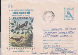 76798- HOUSE SPARROW, BIRDS, COVER STATIONERY, 1995, ROMANIA - Mussen