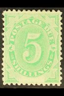 POSTAGE DUE 1902 5s Emerald-green, SG D8, Very Fine Mint. For More Images, Please Visit Http://www.sandafayre.com/itemde - Sonstige & Ohne Zuordnung