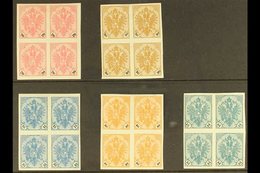 1901 IMPERF PROOF BLOCKS. Black Numeral Set, Mi 24/28, SG 177/82, Imperf Mint Blocks Of 4. Lovely (5 Blocks = 20 Stamps) - Bosnien-Herzegowina