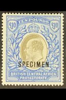 1903-04 £10 Grey & Blue, SPECIMEN Overprinted, SG 67s, Fine Mint With Lightly Toned Gum. For More Images, Please Visit H - Nyasaland (1907-1953)