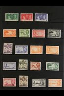 1937-1950 KGVI COMPLETE MINT COLLECTION Presented On Stock Pages & Includes A Complete Basic Run From The 1937 Coronatio - Caimán (Islas)