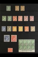 1878-1936 OLD TIME MINT COLLECTION. A Colourful & Fresh, Old Time Mint Collection Presented On Protective Stock Pages Wi - Islas Malvinas