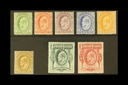 1904-12 KEVII Definitive "Basic" Set, SG 43/50, Very Fine Mint (8 Stamps) For More Images, Please Visit Http://www.sanda - Falklandeilanden
