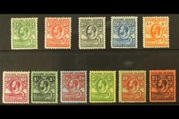 1929-37 Whale & Penguin Definitive Set, SG 116/26, Very Fine Mint (11 Stamps) For More Images, Please Visit Http://www.s - Falklandeilanden