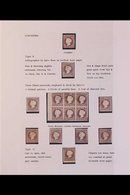 1869-93 "CAMEO" ISSUES - FORGERIES REFERENCE COLLECTION An Attractive "mint And Used" Collection Featuring Identified Fo - Gambia (...-1964)