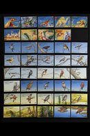 1995-1999 SUPERB NEVER HINGED MINT COLLECTION On Stock Pages, ALL DIFFERENT, Includes 1995 Prehistoric Animals Colour Im - Autres & Non Classés