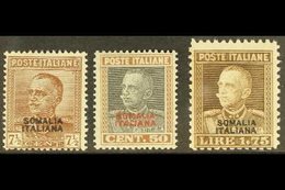 SOMALIA 1928 King Overprints Complete Set, Sassone 116/18 (SG 89, 93 & 99), Never Hinged Mint, Very Fresh. (3 Stamps) Fo - Sonstige & Ohne Zuordnung