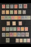 1929-49 VERY FINE MINT COLLECTION Presented On A Stock Page That Includes The 1929 Due Opt'd Set, 1929-39 Due Set, 1942  - Jordanien