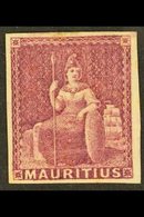 1858 (9d) Dull Magenta, "Britannia", SG 29, Very Fine Mint, Large Part Og. Good Margins All Round, Crisp Impression And  - Mauricio (...-1967)