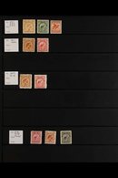 THE ANIMAL (MOSTLY BIRD) STAMPS OF NEW ZEALAND. A Beautiful Collection Of Mint (chiefly Never Hinged Apart From The Earl - Autres & Non Classés