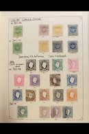 MOZAMBIQUE 1876-1975 Extensive All Different Mint And Used Collection Attractively Written Up In A Spring Back Album, In - Sonstige & Ohne Zuordnung