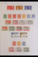 1937-74 VERY FINE MINT COLLECTION. An Attractive Collection Of Complete Sets Neatly Presented On A Series Of Sleeved Alb - St.Kitts En Nevis ( 1983-...)