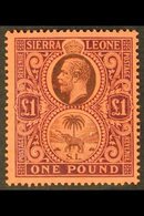 1912-21 £1 Black & Purple/red, SG 128, Very Fine Mint For More Images, Please Visit Http://www.sandafayre.com/itemdetail - Sierra Leona (...-1960)