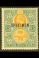 1912-21 £5 Orange & Green SPECIMEN Overprinted, SG 130s, Mint - Seldom Seen Issue For More Images, Please Visit Http://w - Sierra Leone (...-1960)