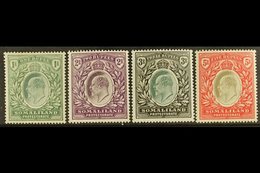 1904 1r, 2r, 3r, And 5r Definitive Top Values, SG 41/44, Very Fine Mint. (4 Stamps) For More Images, Please Visit Http:/ - Somaliland (Protectorate ...-1959)