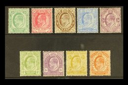 CAPE OF GOOD HOPE 1902-04 KEVII Definitives, Complete Set, SG 70/8, 3d More Heavily Hinged, Others Fine Mint (9 Stamps). - Non Classificati