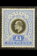 NATAL 1902 £1 Black And Bright Blue, SG 142, Very Fine Mint. For More Images, Please Visit Http://www.sandafayre.com/ite - Ohne Zuordnung