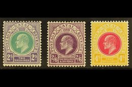 NATAL 1902 2s, 2s 6d & 4s Ed VII Top Values, SG 137/9, Very Fine And Fresh Mint. (3 Stamps) For More Images, Please Visi - Non Classés