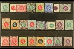 NATAL 1902-1904 FINE MINT COLLECTION On A Stock Card, All Different, Includes 1902-03 Set To 2s6d Incl 1d, 3d & 6d Plate - Unclassified